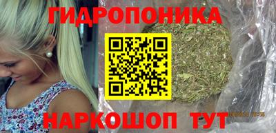 соль ск Будённовск