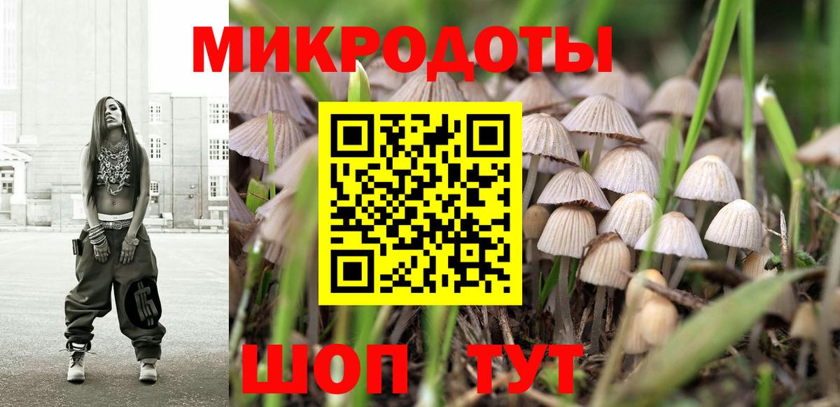 Ртищево  Псилоцибиновые грибы GOLDEN TEACHER  Вход с VPN 